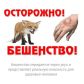 Внимание! Очаг бешенства выявили в Томской области